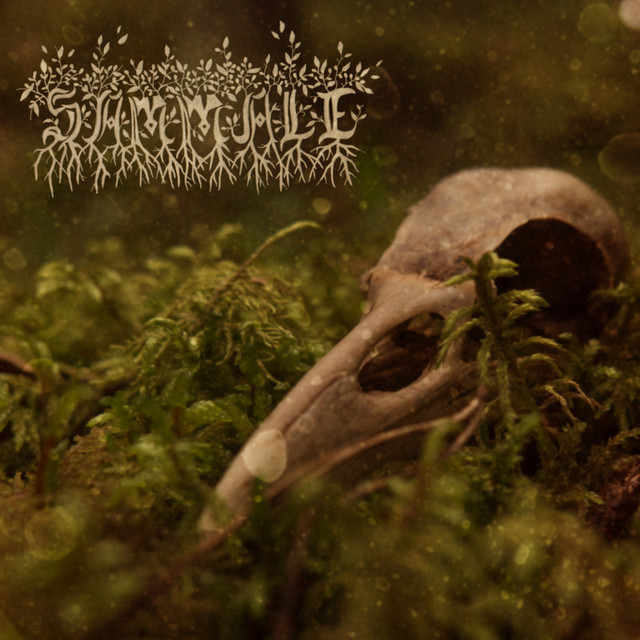Sammale cover art