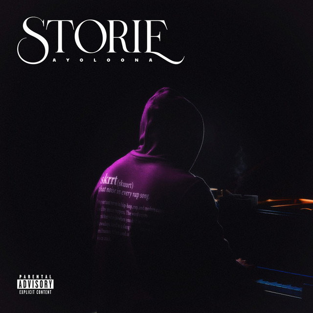 Storie cover art