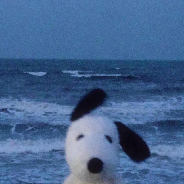 Soft step