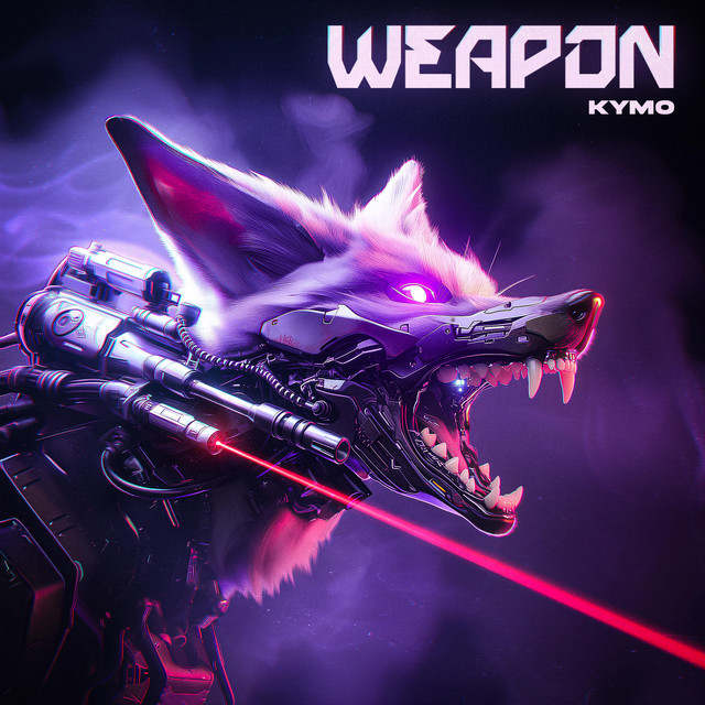 Weapon cover art