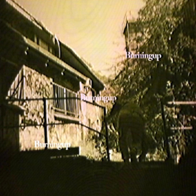 burningup cover art
