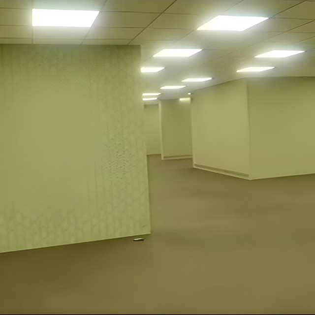 Level 4 Abandoned Office