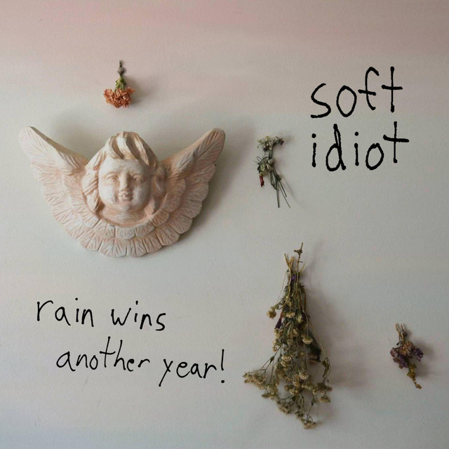 Rain Wins Another Year! cover art