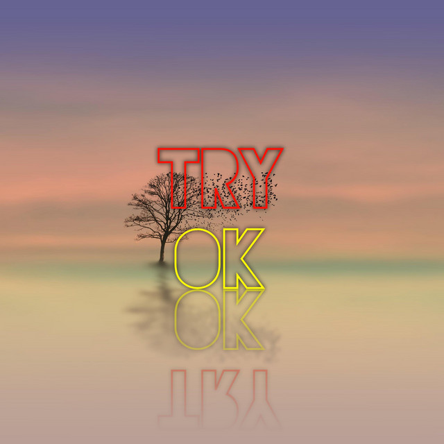 Try Ok - Single by SK MUSIC HD | Spotify
