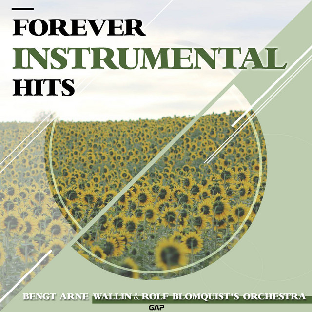 Pochette du titre Som Stjarnan Pa Himmelen Sa Klar