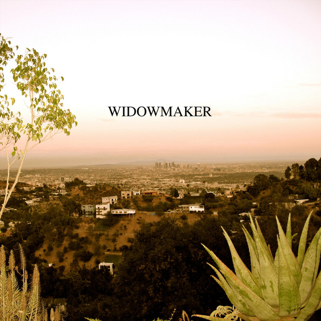 Widowmaker cover