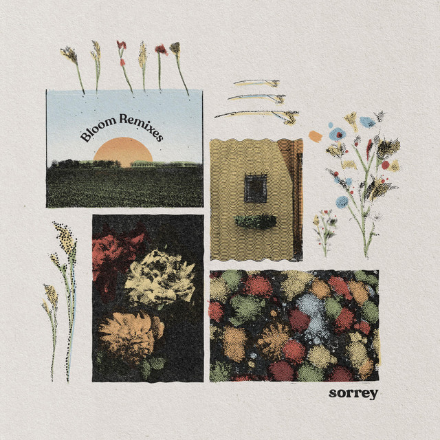 Bloom (Remixes) cover