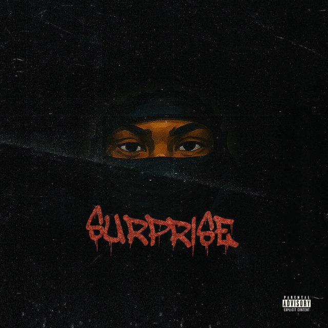 Surprise cover art