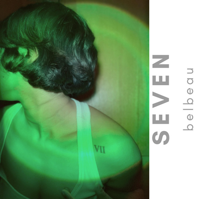 seven cover art