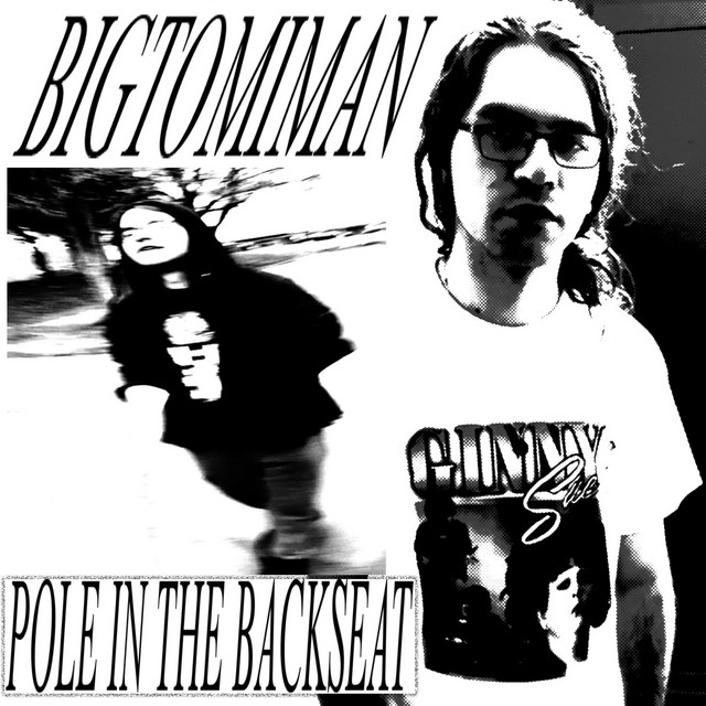 Pole In The Backseat cover art