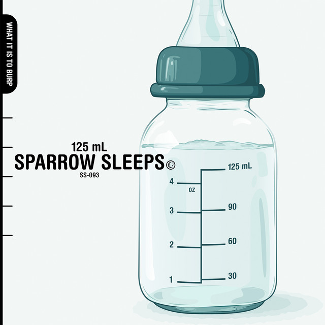 Sparrow Sleeps
