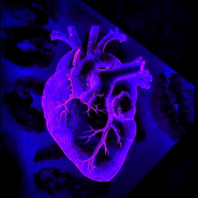 Crazy Love cover art