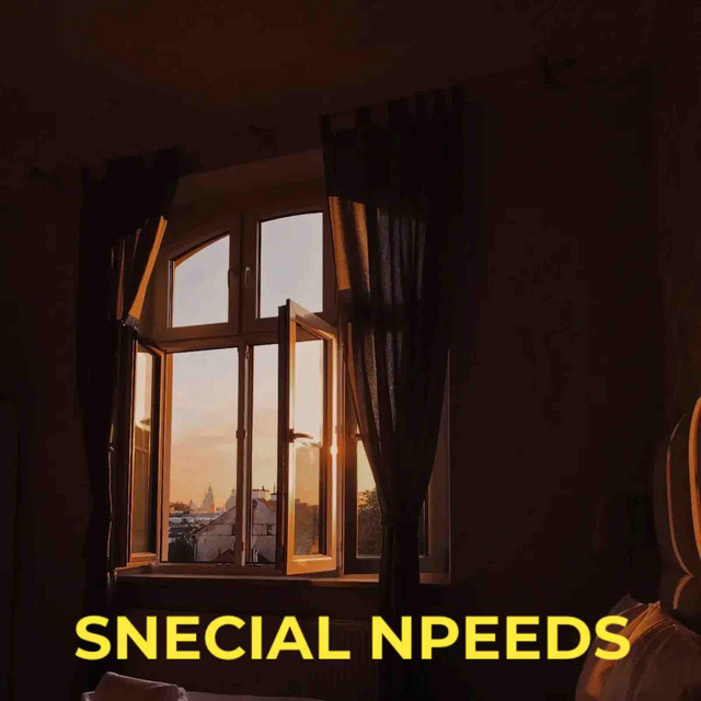 SPECIAL NEEDS cover