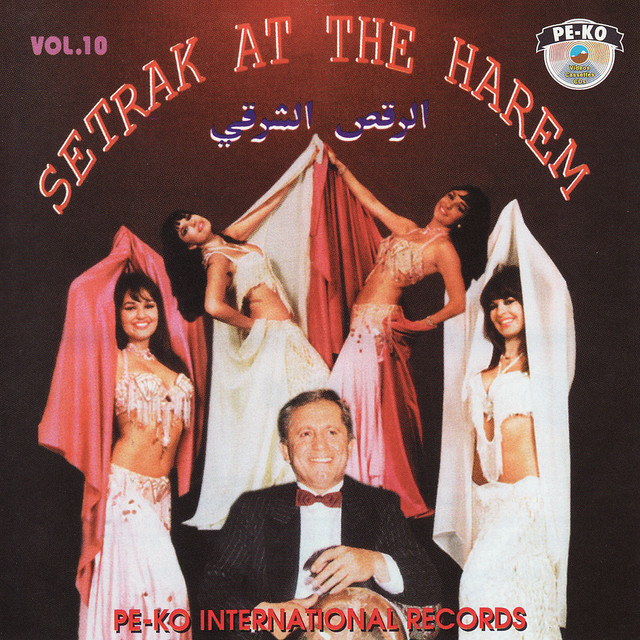 Setrak at the Harem cover art