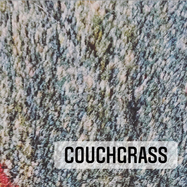 Couchgrass Photo