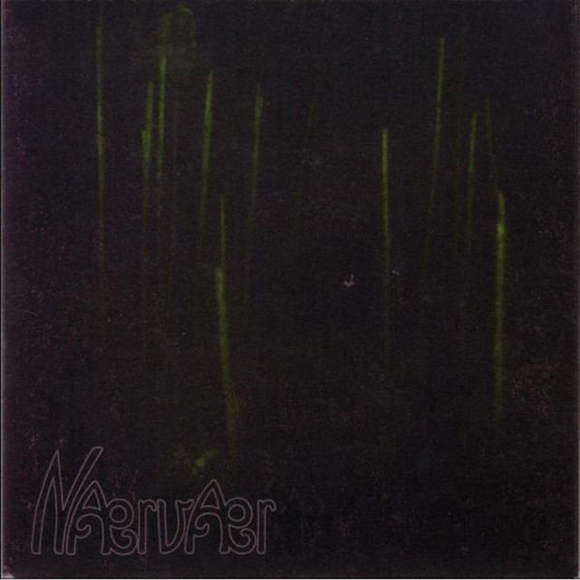 Naervaer cover