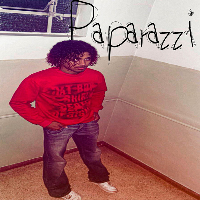Paparazzi cover art
