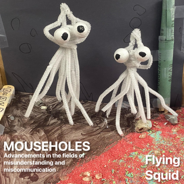 MOUSHOLES: advancements in the fields of misunderstanding and miscommunication cover art