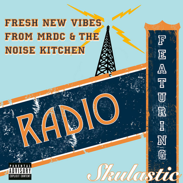 Radio cover