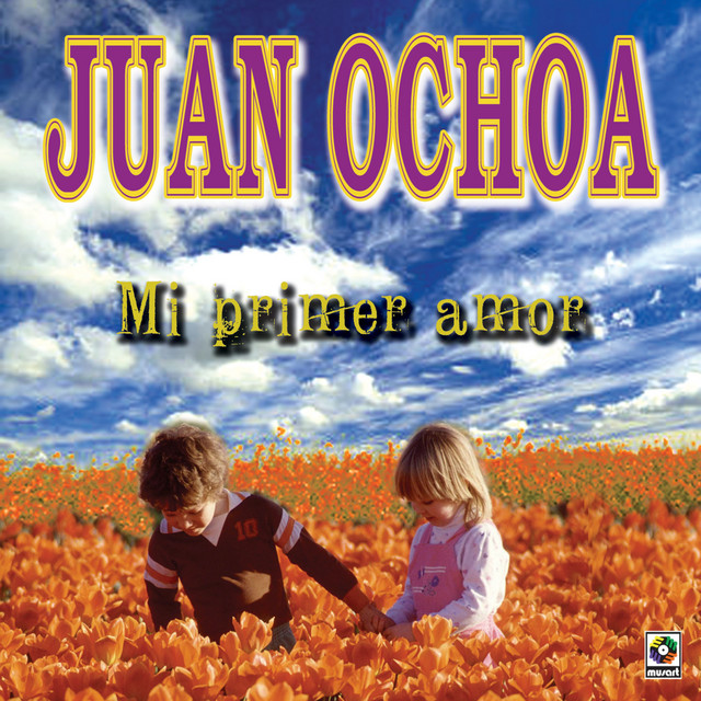 Mi Primer Amor cover art