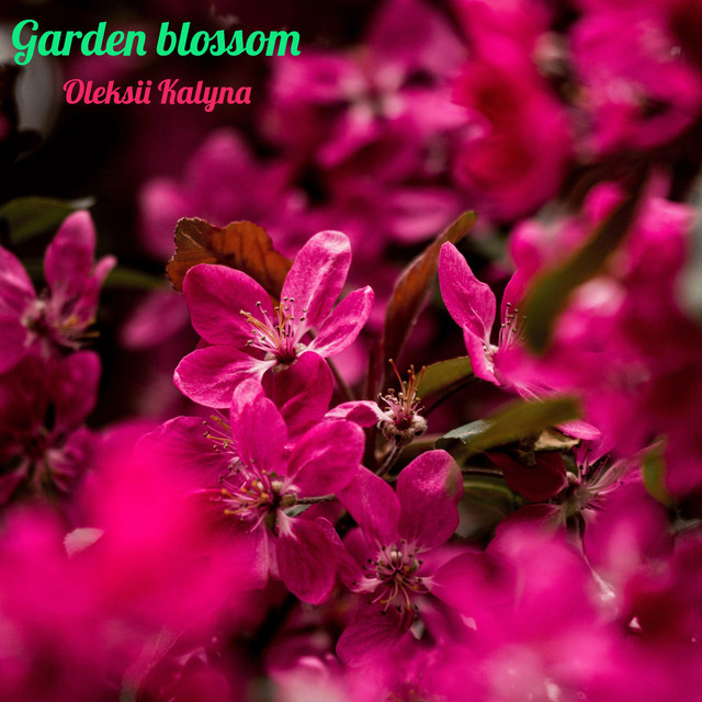 Обкладинка: Garden blossom — Oleksii Kalyna