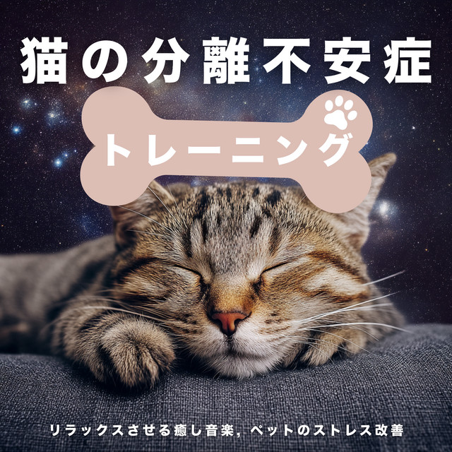 Cat Separation Anxiety Training - Relaxing Music for Cats, Pet Stress Improvement cover art