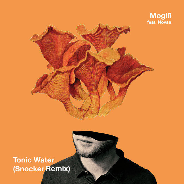 Tonic Water (Snocker Remix)