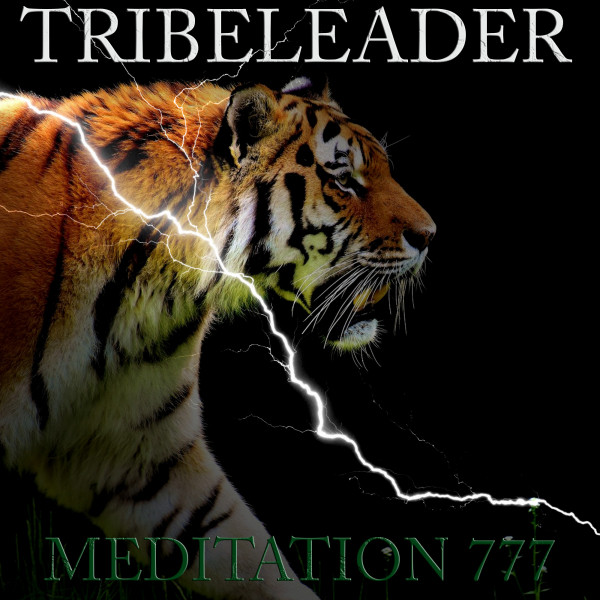 TECH STEP NEXT LEVEL - Instrumental - song and lyrics by Tribeleader ...
