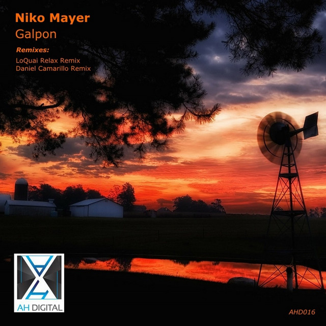 Niko Mayer