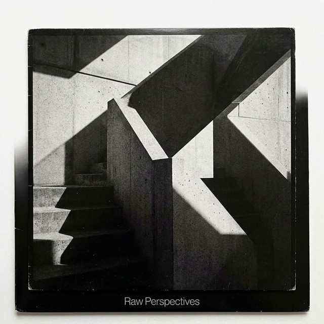 Raw Perspectives cover