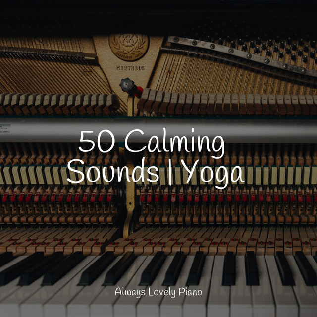 50 Calming Sounds | Yoga - Album by Relaxing Piano Jazz Music Ensemble ...