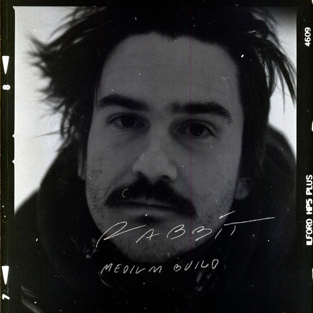 Rabbit cover art