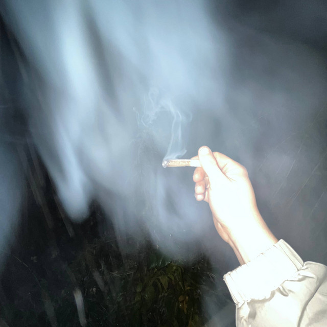 FAT SAMPLE cover art