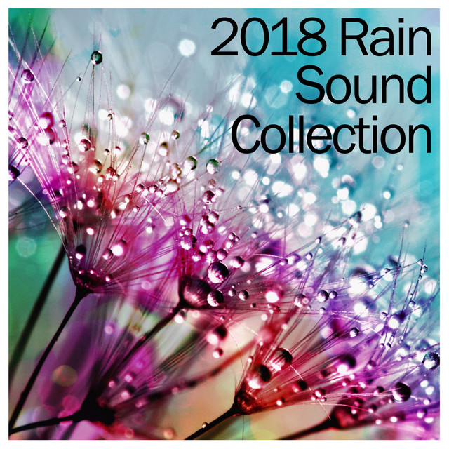 19 New Rain Sounds - Natural, Loopable with No Fade for Perfect Relaxation cover art