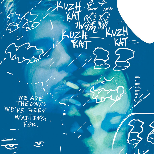 We Are The Ones We've Been Waiting For cover art