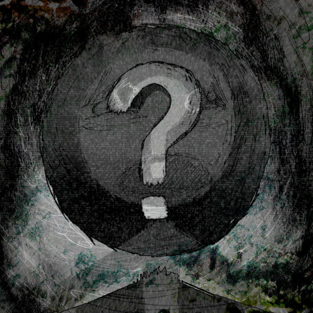 What's You? cover