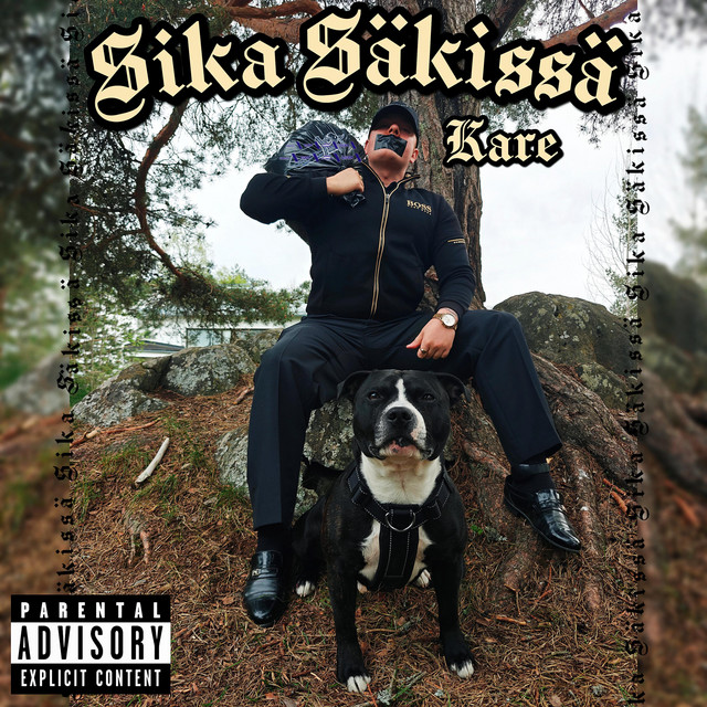 undefined album image