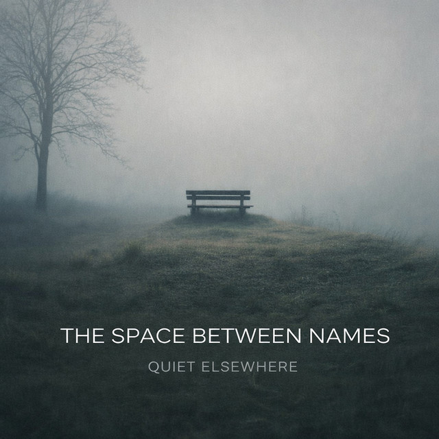 The Space Between Names cover art