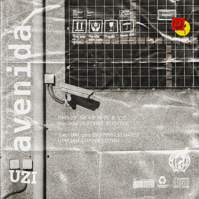 Avenida cover art