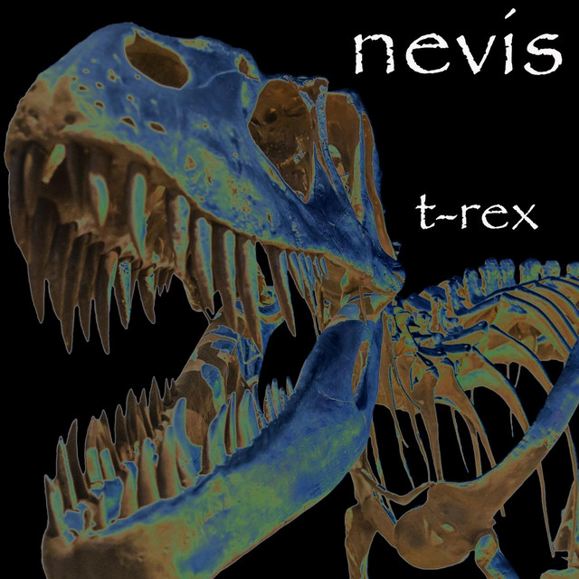 Nevis Photo
