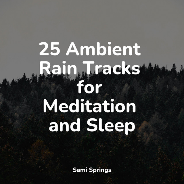 25 Ambient Rain Tracks for Meditation and Sleep - Album by Natural ...