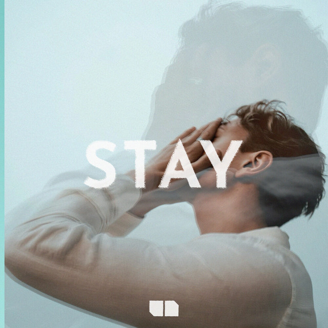 Stay cover