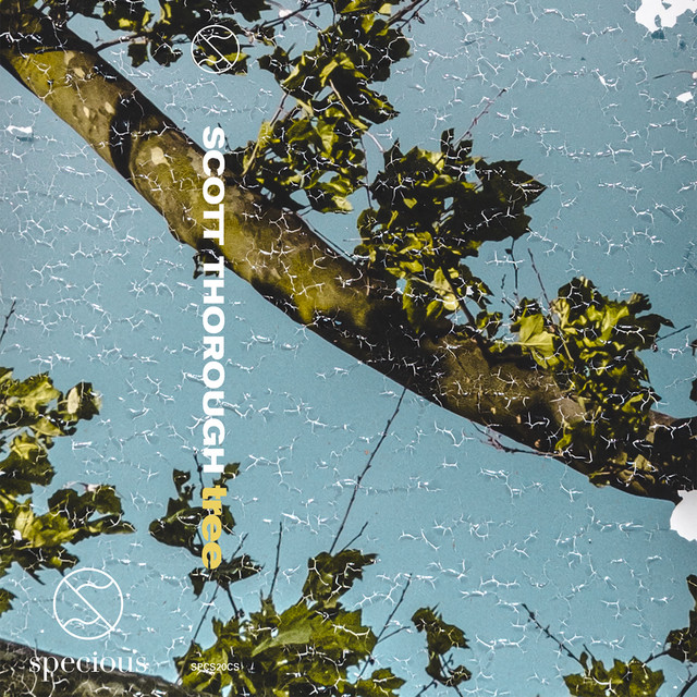 Tree cover art