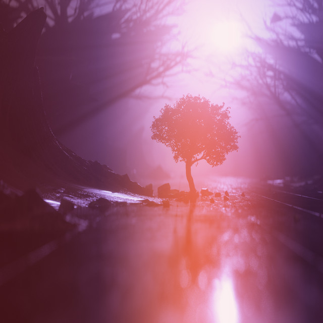 Lost cover art