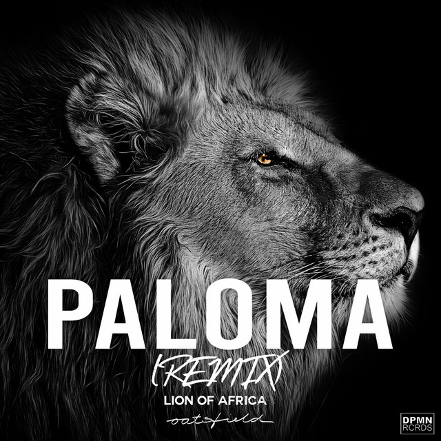 PALOMA - Remix