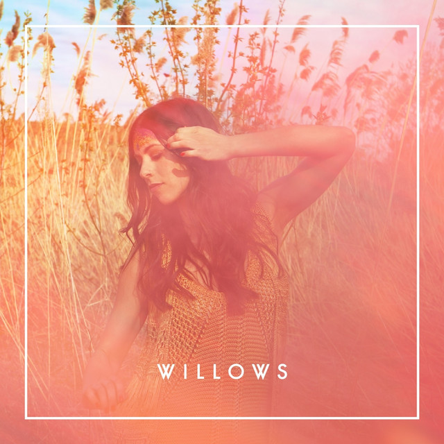 Willows cover art