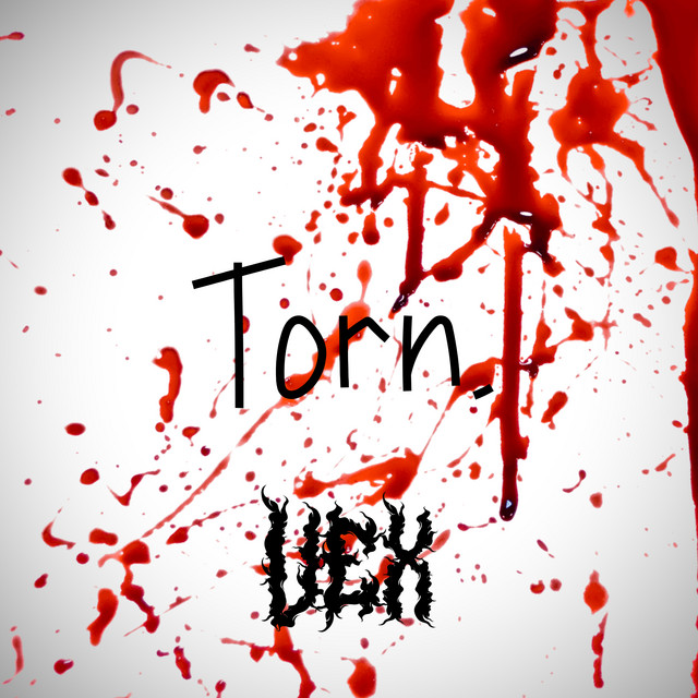 Torn. cover art