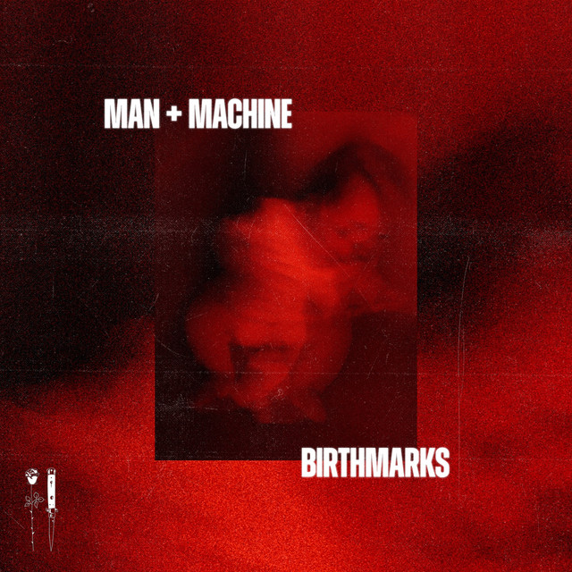 Birthmarks cover art