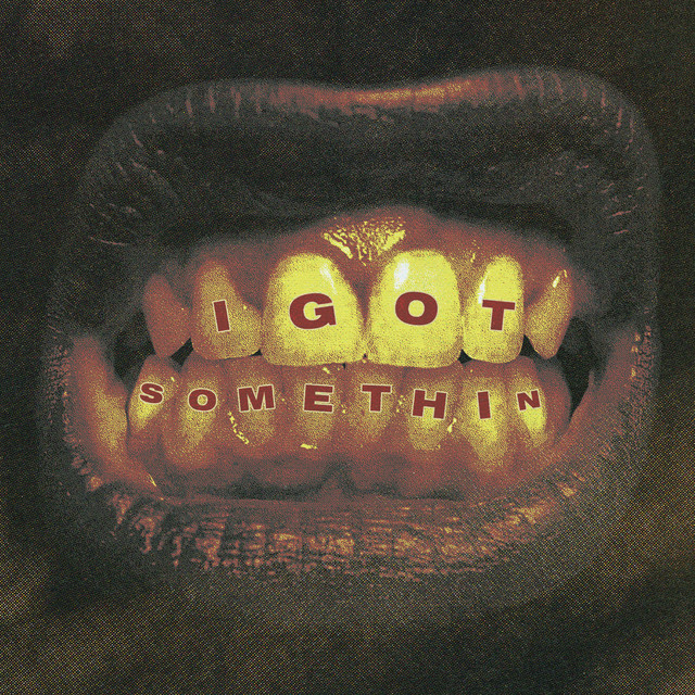 I GOT SOMETHIN album image