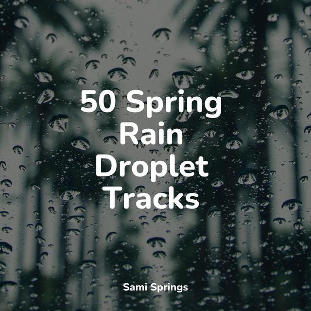 50 Peaceful Ambient Rain Sounds - Album by Relaxing Nature Sounds ...